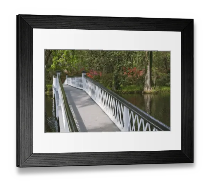 Framed Print : Charleston, South Carolina, USA. A bridge in Magnolia Gardens Framed Print : Charleston, South Carolina, USA. A bridge in Magnolia Gardens