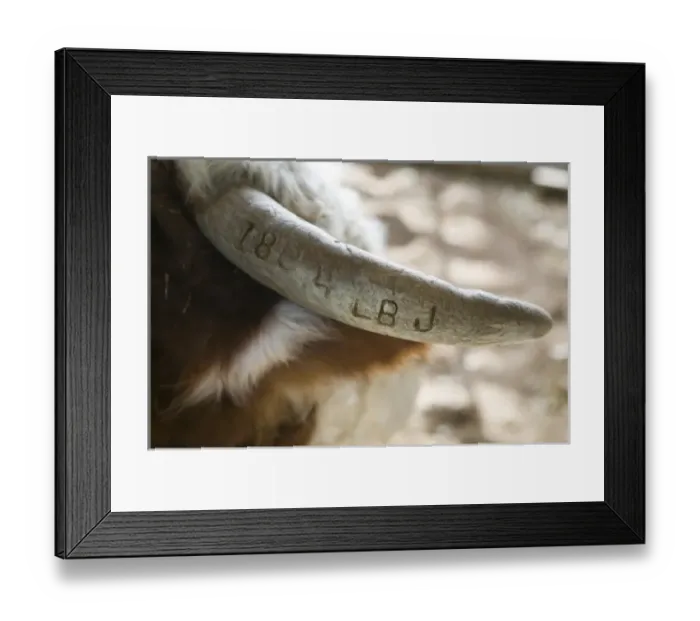 Framed Print : USA, North America, Texas Framed Print : USA, North America, Texas