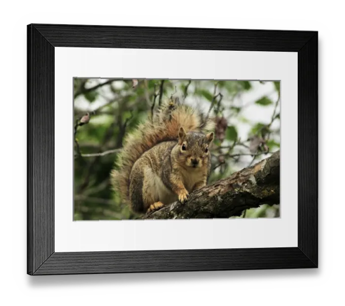 Framed Print : USA, North America, Oregon Framed Print : USA, North America, Oregon