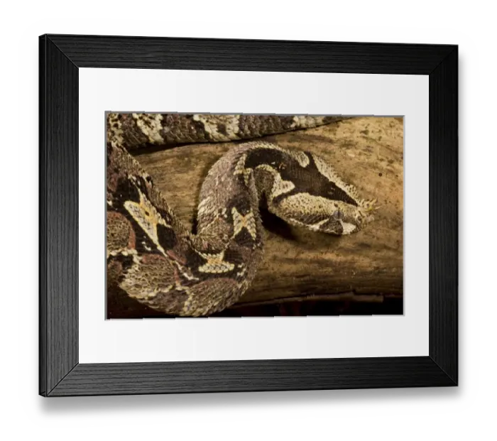 Framed Print : USA, North America, Pennsylvania Framed Print : USA, North America, Pennsylvania