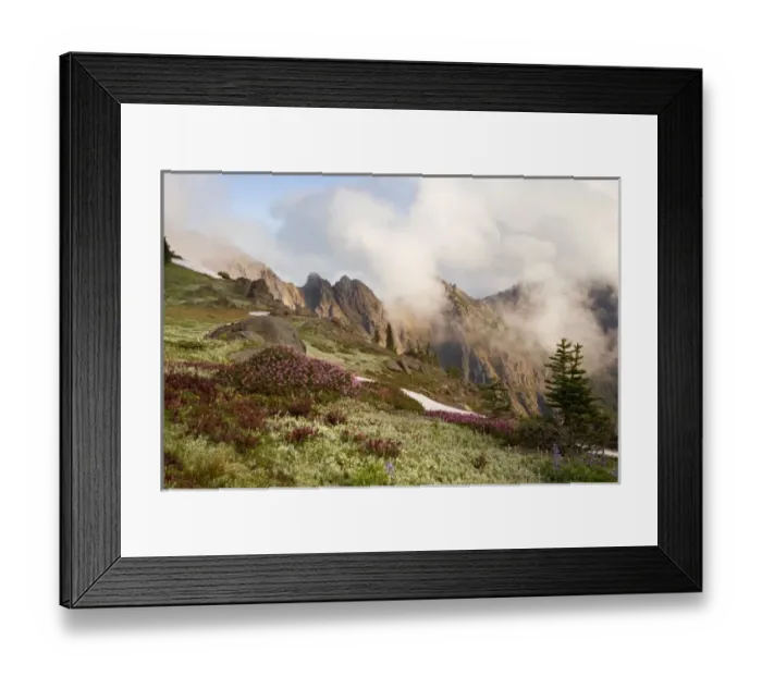 Framed Print : USA, North America, Washington