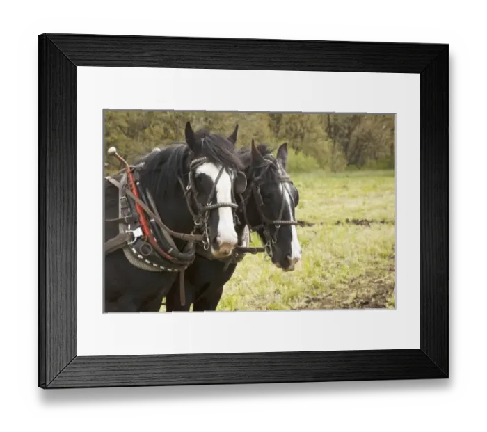 Framed Print : USA, North America, Oregon