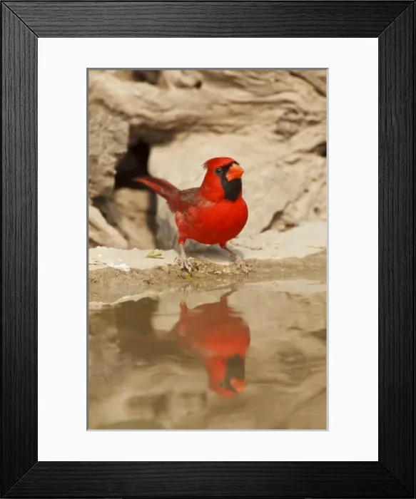 Framed Print : USA, North America, Texas Framed Print : USA, North America, Texas