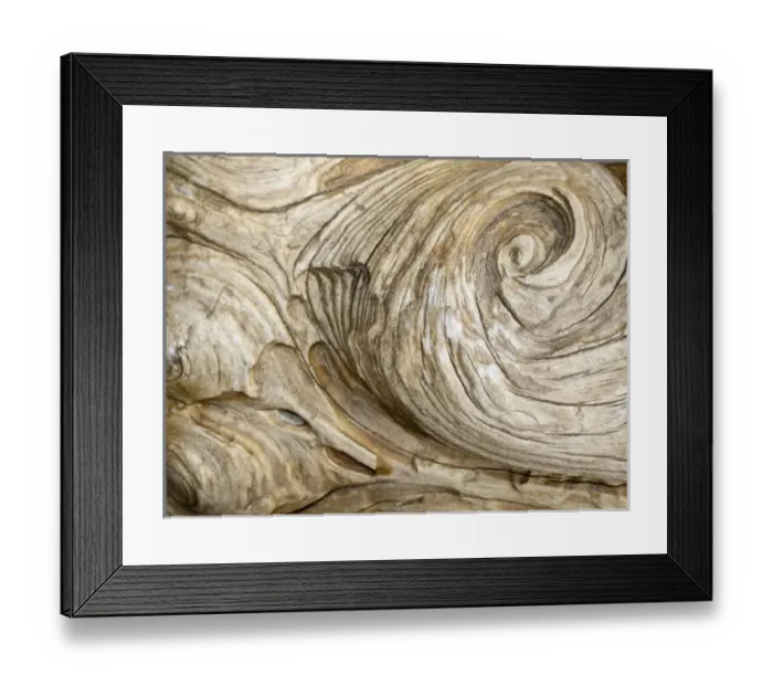 Framed Print : USA, North America, Washington