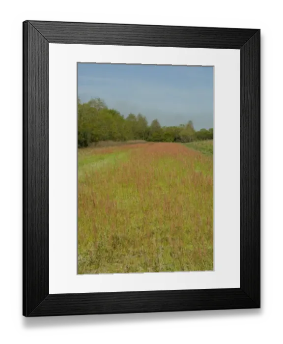 Framed Print : USA, North America, South Carolina Framed Print : USA, North America, South Carolina