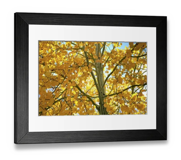 Framed Print : USA, North America, Oregon Framed Print : USA, North America, Oregon