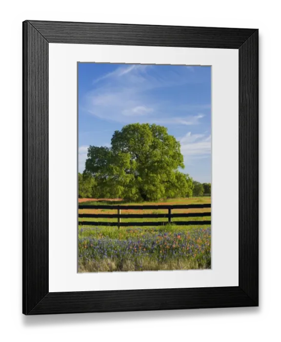 Framed Print : USA, North America, Texas Framed Print : USA, North America, Texas