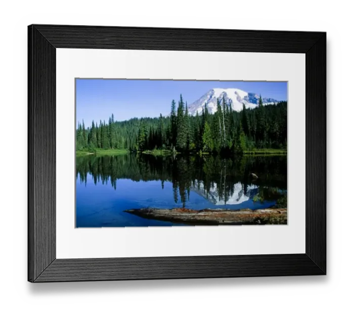 Framed Print : North America, USA, Washington, Mt Rainier National Park. Mt. Rainier reflected in Framed Print : North America, USA, Washington, Mt Rainier National Park. Mt. Rainier reflected in
