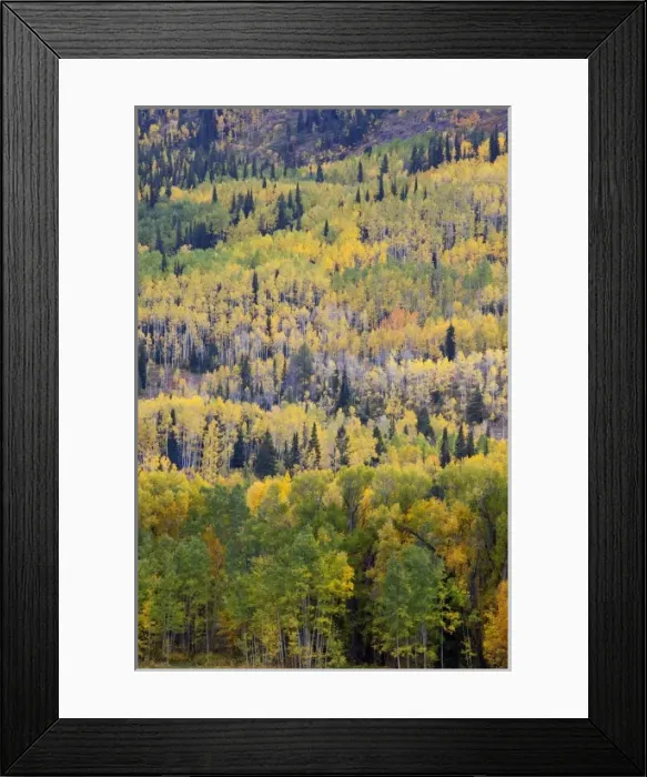Framed Print : USA, North America, Utah Framed Print : USA, North America, Utah
