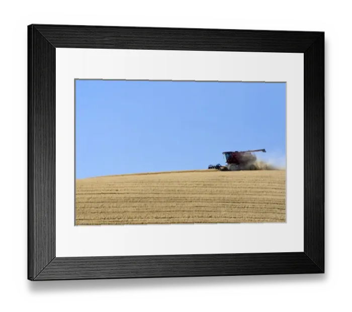 Framed Print : USA, North America, Washington Framed Print : USA, North America, Washington