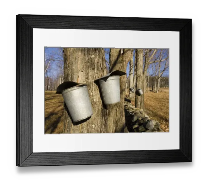 Framed Print : USA, North America, New Hampshire Framed Print : USA, North America, New Hampshire