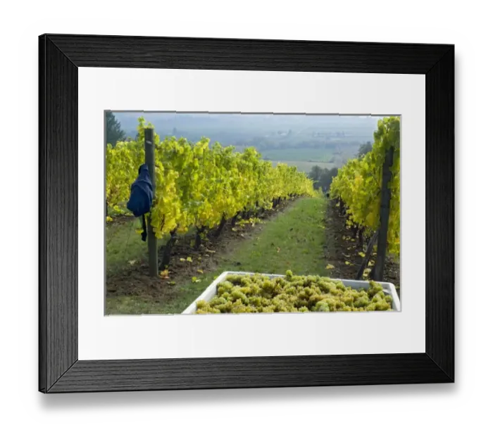 Framed Print : USA, North America, Oregon Framed Print : USA, North America, Oregon
