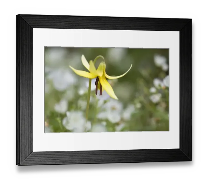 Framed Print : USA, North America, Tennessee Framed Print : USA, North America, Tennessee