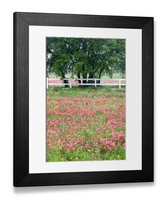 Framed Print : USA, North America, Texas Framed Print : USA, North America, Texas