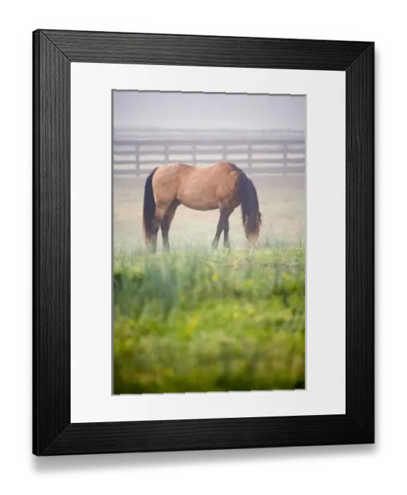 Framed Print : USA, North America, Virginia Framed Print : USA, North America, Virginia