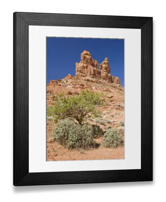 Framed Print : USA, UT, Valley of the Gods, near Mexican Hat RockLNA02420 Framed Print : USA, UT, Valley of the Gods, near Mexican Hat RockLNA02420