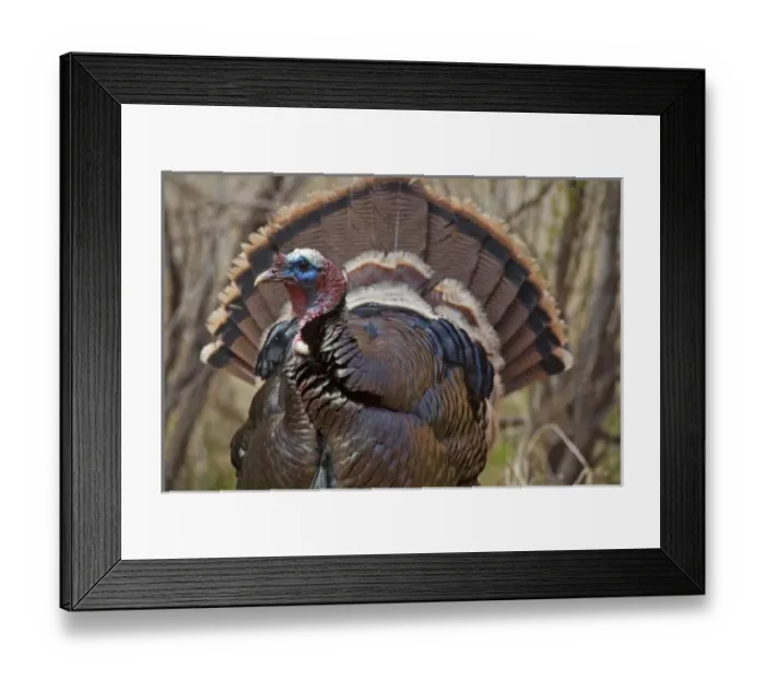 Framed Print : USA, North America, Utah