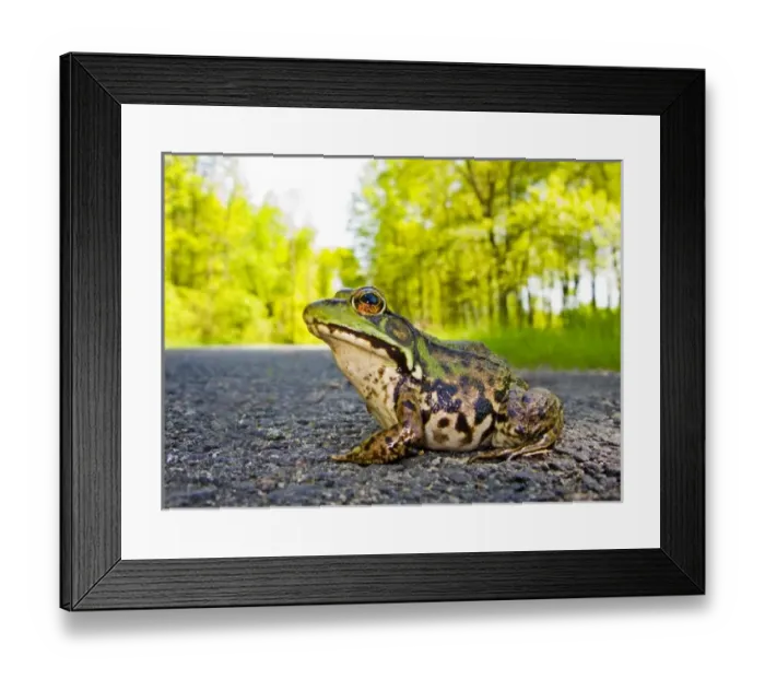 Framed Print : USA, North America, New Jersey Framed Print : USA, North America, New Jersey