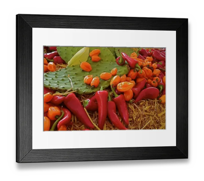 Framed Print : Santa Fe, New Mexico, USA. Nopales (cactus pads) habanero and red chiles display Framed Print : Santa Fe, New Mexico, USA. Nopales (cactus pads) habanero and red chiles display