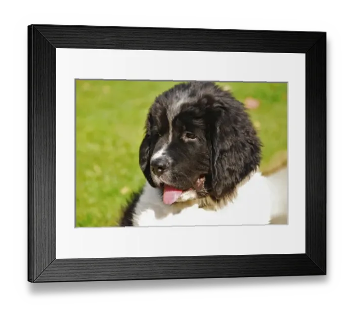 Framed Print : USA, North America, Oregon Framed Print : USA, North America, Oregon