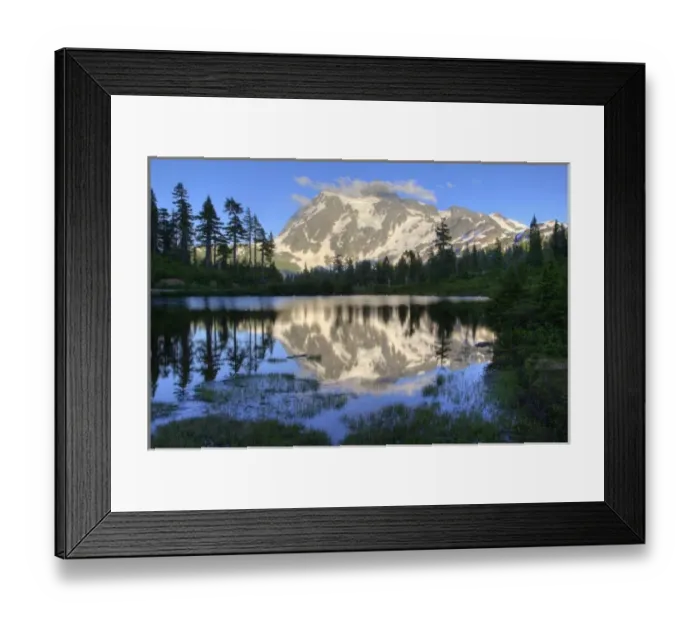 Framed Print : Mtn Shuksan reflects into Picture Lake in the North Cascades of Washington Framed Print : Mtn Shuksan reflects into Picture Lake in the North Cascades of Washington
