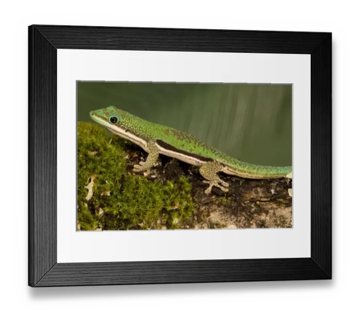 Framed Print : USA, North America, Pennsylvania