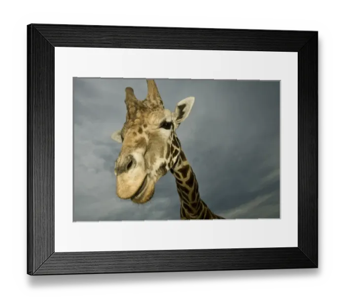 Framed Print : USA, North America, Texas Framed Print : USA, North America, Texas
