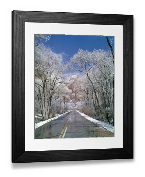Framed Print : USA, Utah, Zion NP. Snow melts on the roadway in Zion National Park, Utah Framed Print : USA, Utah, Zion NP. Snow melts on the roadway in Zion National Park, Utah