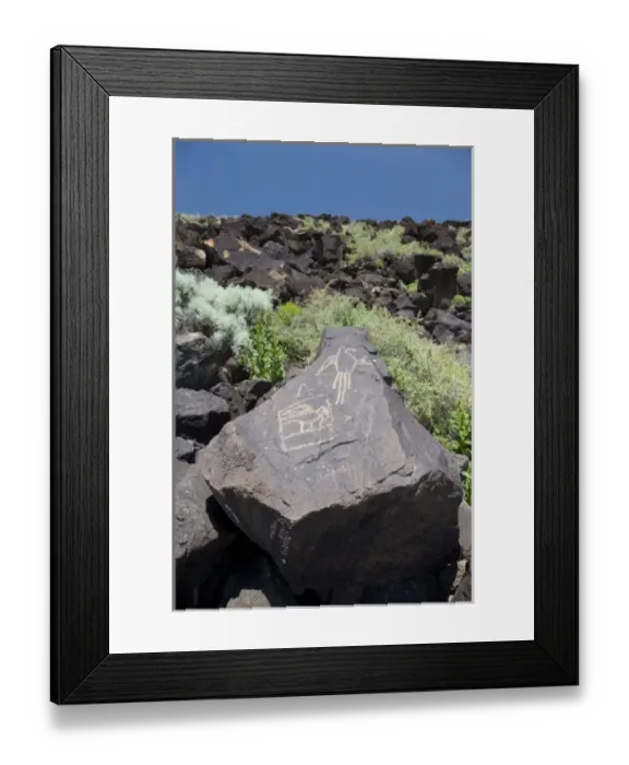 Framed Print : NM, New Mexico, Albuquerque, Petroglyph National Monument, Boca Negra Canyon, petroglyphs Framed Print : NM, New Mexico, Albuquerque, Petroglyph National Monument, Boca Negra Canyon, petroglyphs