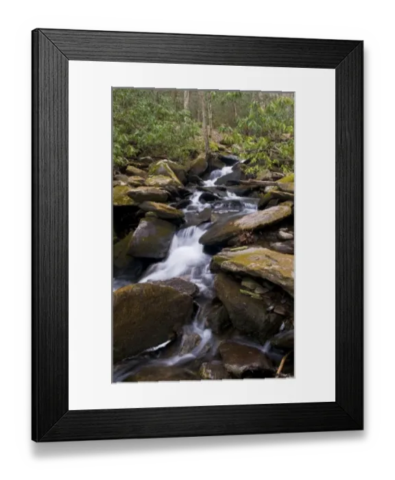 Framed Print : USA, North America, Tennessee Framed Print : USA, North America, Tennessee