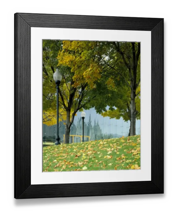 Framed Print : USA, North America, Utah