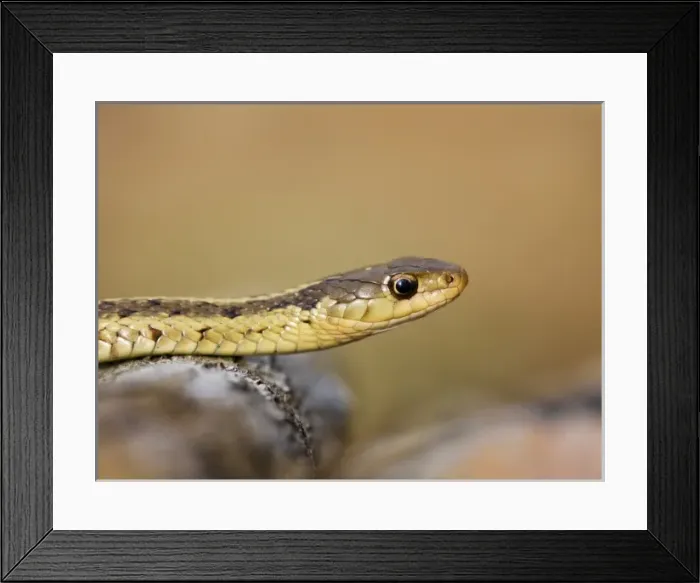 Framed Print : USA, North America, New Jersey Framed Print : USA, North America, New Jersey