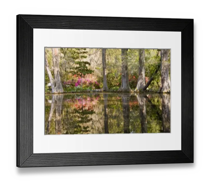 Framed Print : USA, North America, South Carolina