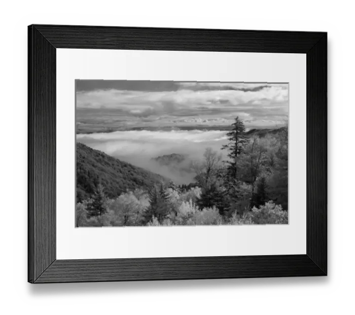 Framed Print : North America, USA, North Carolina, infrared image clouds, mountains and trees Framed Print : North America, USA, North Carolina, infrared image clouds, mountains and trees