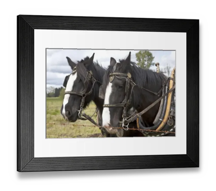 Framed Print : USA, North America, Oregon