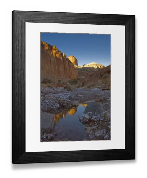 Framed Print : USA, Utah, Capitol Reef National Park. The Golden Cathedral reflected in a small pool