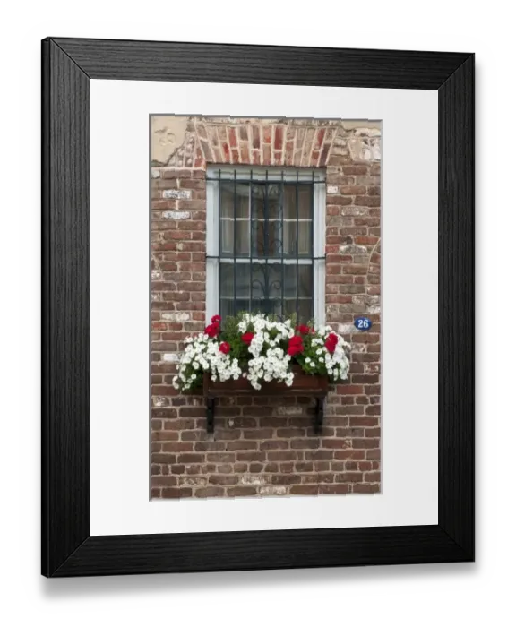 Framed Print : Charleston, South Carolina, USA. A colorful window box of spring flowers against Framed Print : Charleston, South Carolina, USA. A colorful window box of spring flowers against
