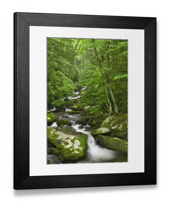 Framed Print : USA, North America, Tennessee Framed Print : USA, North America, Tennessee