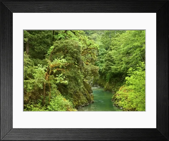 Framed Print : USA, North America, Oregon