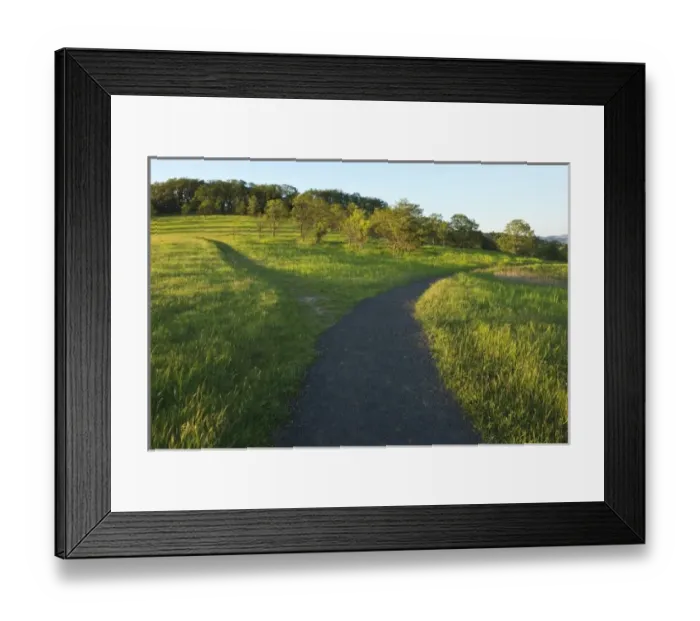 Framed Print : USA, North America, Oregon