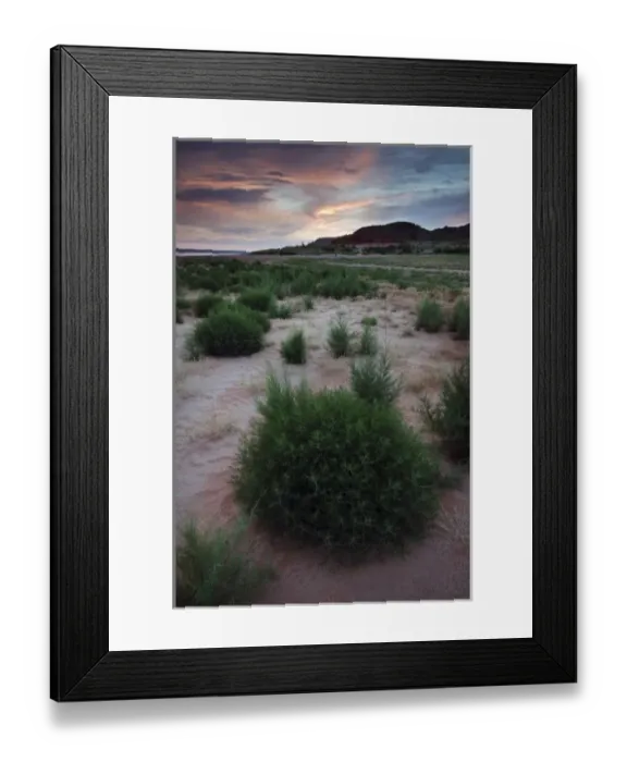 Framed Print : Growth in the dry lakebed of Lake Meredith National Recreation Area, Alibates Flint