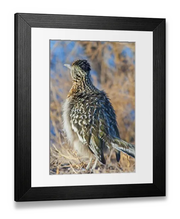 Framed Print : USA, North America, New Mexico Framed Print : USA, North America, New Mexico