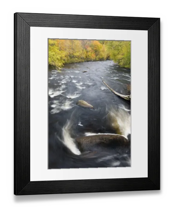 Framed Print : The Ashuelot River in Ashuelot, New Hampshire. Fall Framed Print : The Ashuelot River in Ashuelot, New Hampshire. Fall