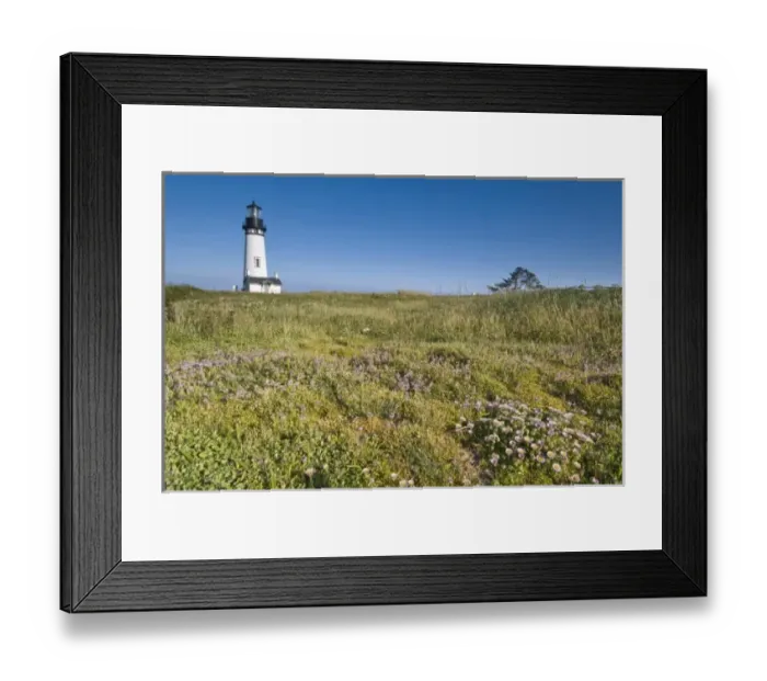 Framed Print : USA, OR, Newport, Yaquina Head Lighthouse