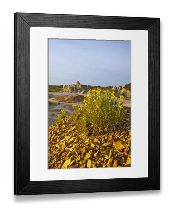 Framed Print : USA, North America, North Dakota Framed Print : USA, North America, North Dakota