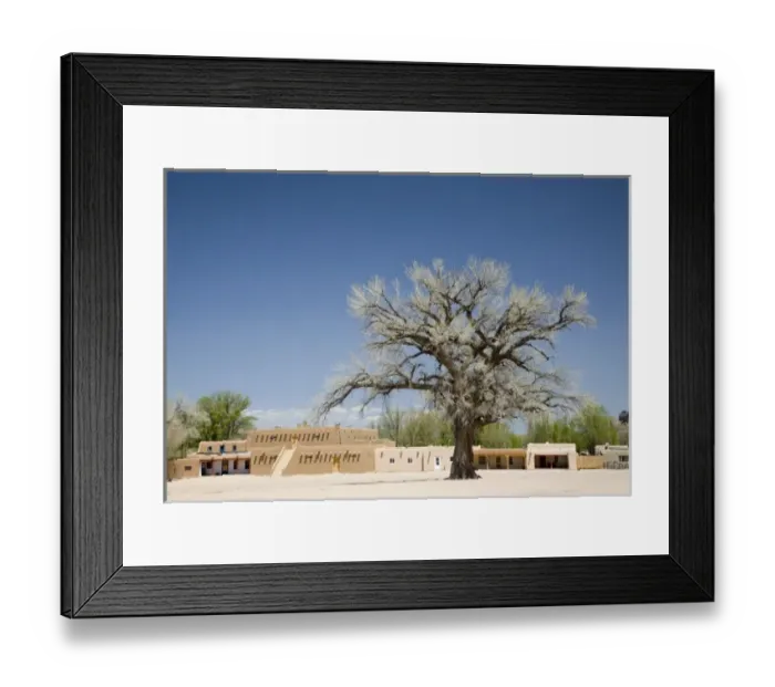 Framed Print : NM, New Mexico, San Ildefonso Pueblo, Big Tree in North Plaza, a majestic Cottonwood Framed Print : NM, New Mexico, San Ildefonso Pueblo, Big Tree in North Plaza, a majestic Cottonwood