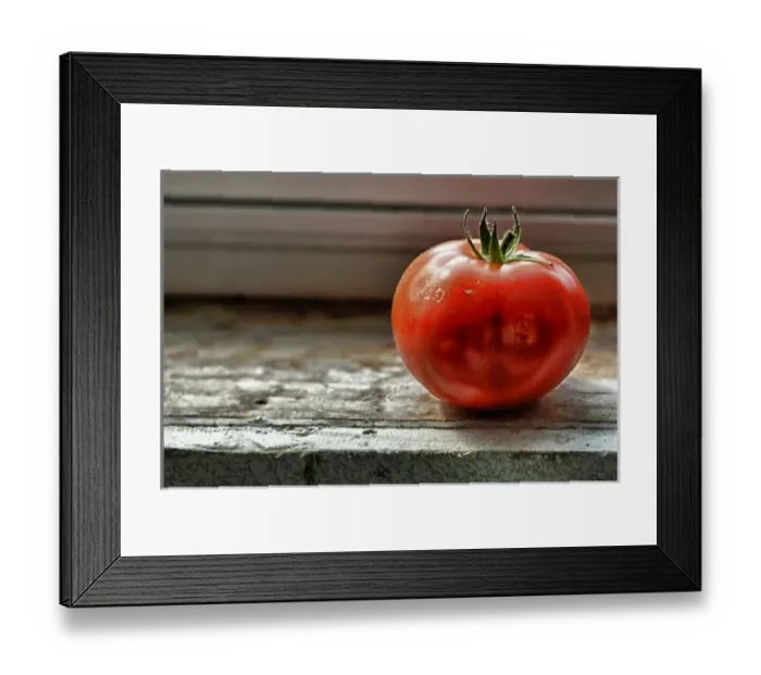 Framed Print : USA, Oregon, Keizer, Tomato on window sill, Digital Composite HDR Framed Print : USA, Oregon, Keizer, Tomato on window sill, Digital Composite HDR