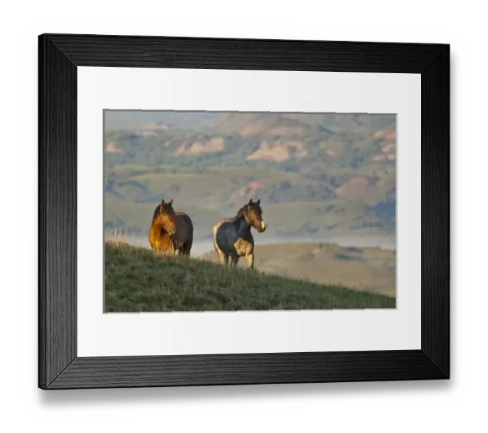 Framed Print : USA, North America, North Dakota Framed Print : USA, North America, North Dakota