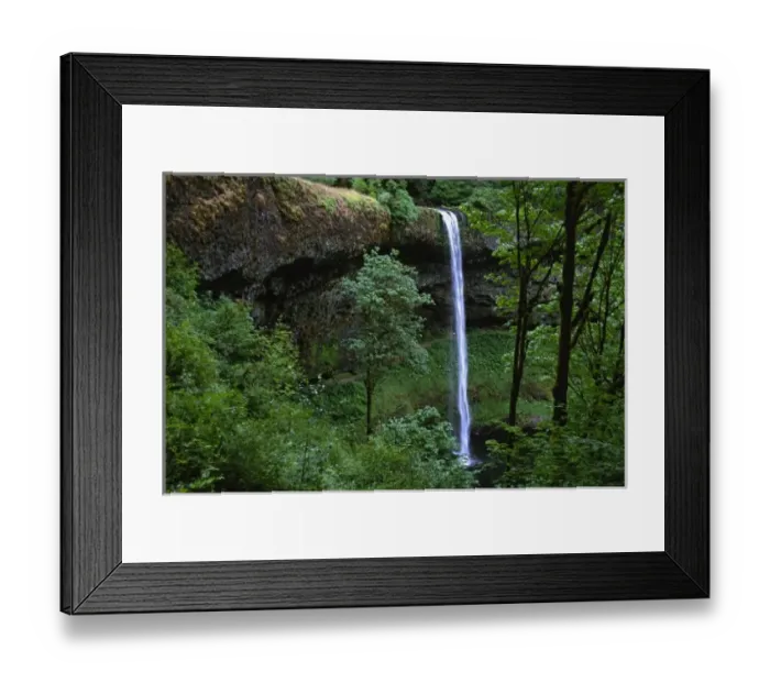 Framed Print : North America, USA, Oregon, Silver Falls State Park. North Falls