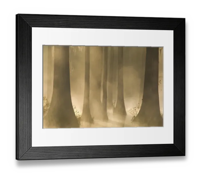 Framed Print : USA, North America, South Carolina Framed Print : USA, North America, South Carolina